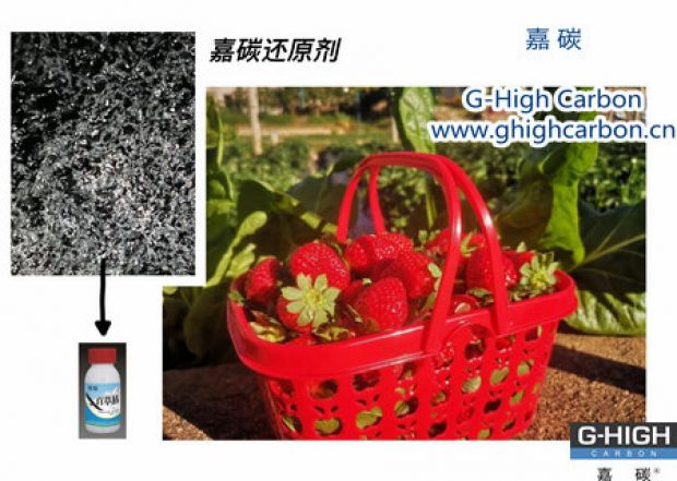 嘉碳還原劑守護(hù)“莓”好，甜蜜上線