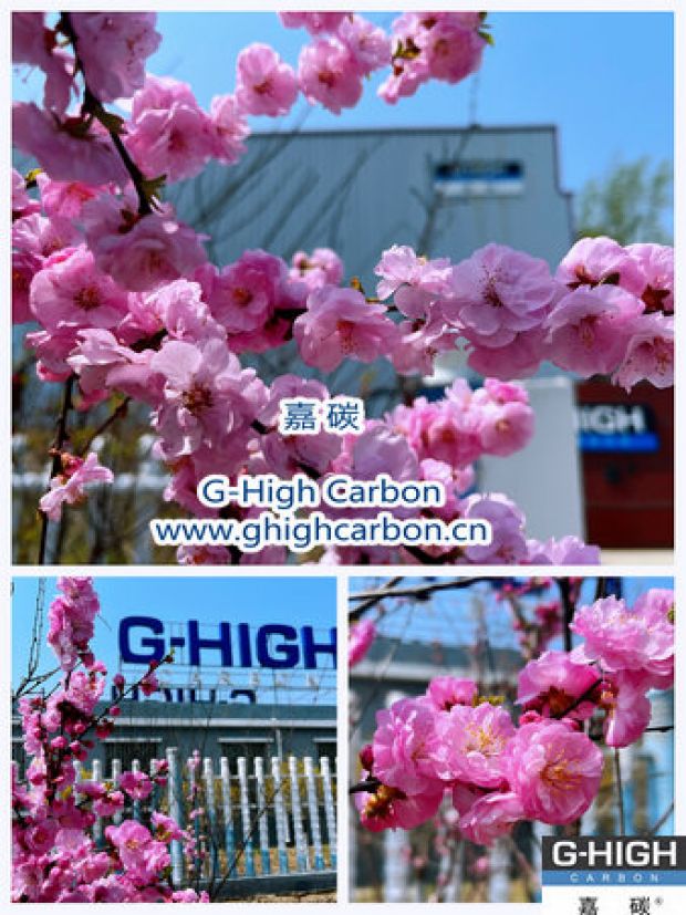 環(huán)保嘉碳，春花爛漫