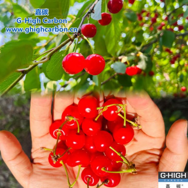 生態(tài)“嘉”園，“桃”醉其中