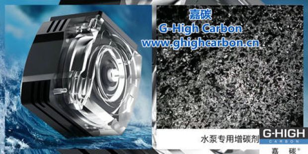 精鑄泵業(yè)，專(zhuān)業(yè)護(hù)航