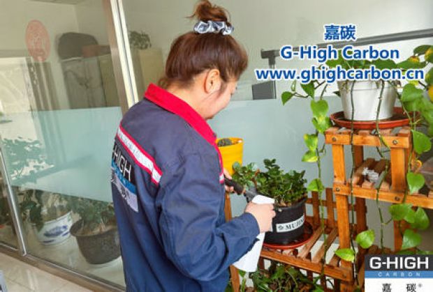 午休時光種花忙，美化辦公環(huán)境添綠意